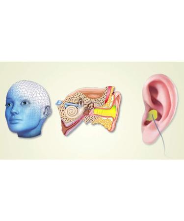 ADITAM Earplug Washable Christmas Tree Type with line Anti-Noise and Noise Reduction earplugs Learning Sleep earplugs Double The Comfort - Buy Online on GoSupps.com