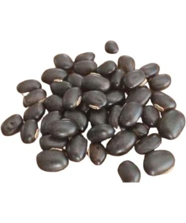 Buy Black Kaunch Beej Powder - Boost Stamina & Testosterone Rich in Iron - 200 gm Mucuna Pruriens Poonaikali Veethai - International Shipping Available - Buy Online on GoSupps.com