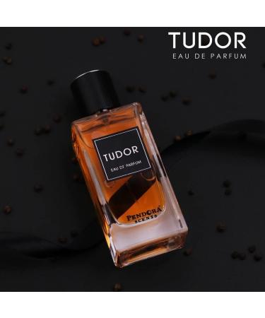 Paris Corner TUDOR Men s Perfume 3.4 Fl Oz EDP Perfumes - Buy Online on GoSupps.com