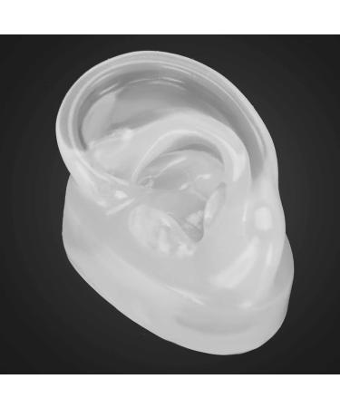 Silicone Ear Model for Hearing Aids | Realistic Artificial Ear Display for Window & Ear Impression Practice - Buy Online on GoSupps.com