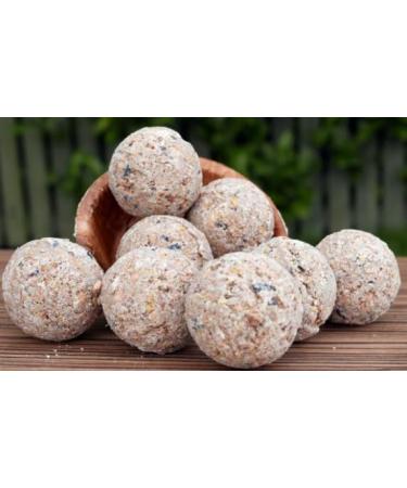 The Suet Shop 80g x 50 Standard Suet Fat Balls - High Energy & Protein for Wild Birds - Buy Online on GoSupps.com