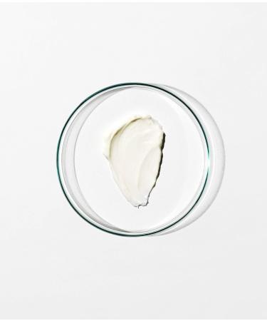 Grown Alchemist Intensive Hydra-Repair Day Face Cream - Luxury Daily Moisturising Cream - Hydrating Face Moisturiser Extra Rich Formulation with Antioxidants Vitamin E Vegan Plant Oils - 40 ml - Buy Online on GoSupps.com