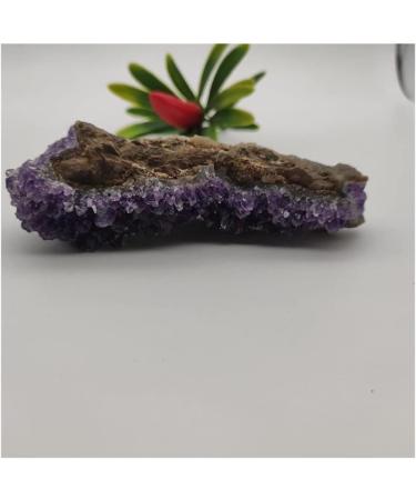 for Natural Dream Amethyst Quartz Crystal Cluster Specimen Full of Texture - Buy Online on GoSupps.com