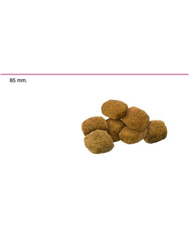 Advance Medium Adult Light - Low Fat Dry Food for Medium Breed Adult Dogs with Chicken - 3kg - Buy Online on GoSupps.com