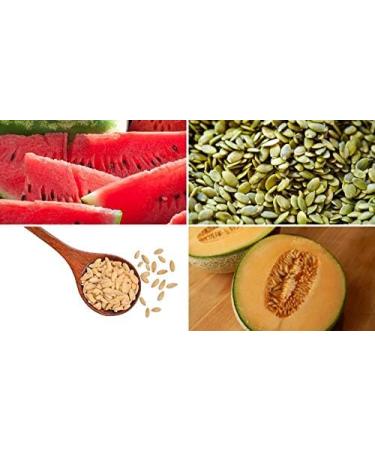 BSD Organics Dried Nuts Chaar Magah/Seeds of Pumpkin Watermelon cucumber cantaloupe (500 Gram / 17.63 Ounce)