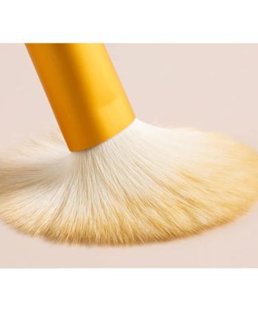 DFHBFG 12-Piece Makeup Brush Set | Soft Hair Blush & Powder Brushes | Ideal for Flawless Foundation Application - International Shipping Available - Buy Online on GoSupps.com