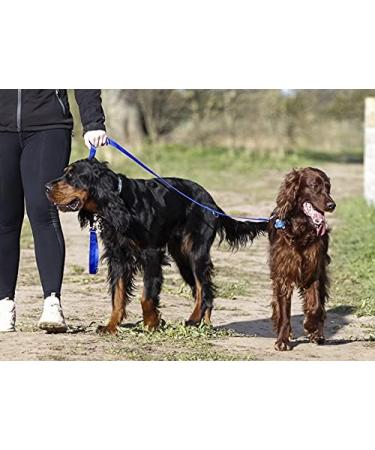 Police style dog training lead 6ft Multiple colours (Blue) - Buy Online on GoSupps.com