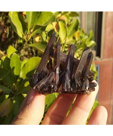 Crystal Rough 90-100g Natural Beautiful Black Quartz Crystal Cluster Tibetan Specimen - Buy Online on GoSupps.com