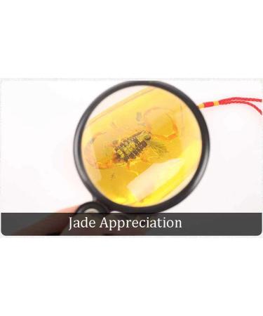 Portable Collapsible Reading Magnifier 10X Distortion-Free Optical Lens for Reading Inspection Needlework Repair Hobbies and Crafts Made in China - Buy Online on GoSupps.com