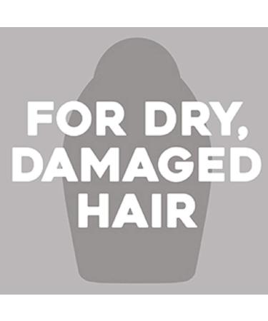 OGX Restoring + Bonding Plex Salon Technology Conditioner - 13 Ounce - Buy Online on GoSupps.com