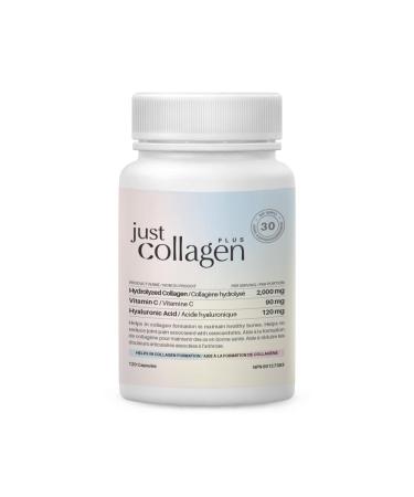 Just Collagen Hydrolyzed Collagen with Hyaluronic Acid and Vitamin C - 120 Capsules - Hydrolyzed Marine Collagen Peptide - Helps in Collagen Formation - Collagen Supplement
