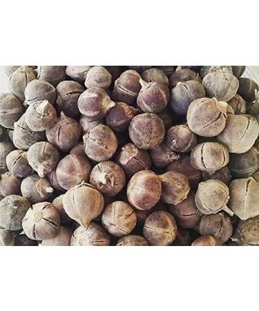 Snot Apple Goron Tula Miracle Fruit Azanza Garckeana Organic Kayamata Sweet Fruit - About 15 - 18 Small Seeds - 105g - Buy Online on GoSupps.com