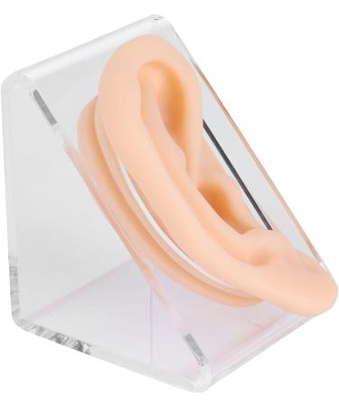 Silicone Ear Model for Acupuncture Practice | Realistic Fake Ear with Presentation Stand - International Shipping Available - Buy Online on GoSupps.com