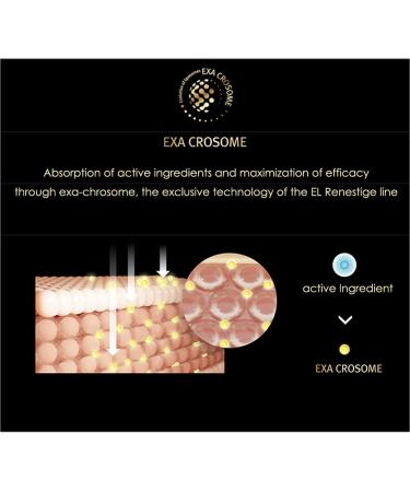 El Renestige Perfection Cream | 50ml K-Beauty Moisturizer with Plant Stem Cells | Intense Nourishing Cream for All Skin Types | Ships Internationally - Buy Online on GoSupps.com