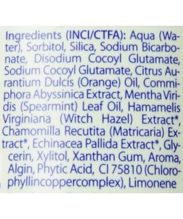 Logona LOGODENT Kids Toothpaste Spearmint (75 ml) | Natural Fluoride-Free Dental Care for Children | International Shipping Available - Buy Online on GoSupps.com