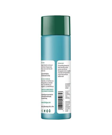Biotique Bio Kelp Protein Shampoo for Hair Fall - 190 ml | Nourishing & Strengthening Formula | Buy Internationally - Buy Online on GoSupps.com