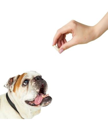 Buy Size 1 Clear Gelatin Capsules - 500 Count - Halal Empty Pill Capsules for DIY Supplements - Easy Snap for Capsule Filling - Buy Online on GoSupps.com