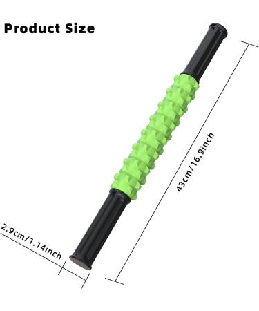 ARGOMAX Green Massage Tab with Rollers - Relief for Sore Muscles & Physiotherapy | Muscle Therapy Roller Stick - Buy Online on GoSupps.com