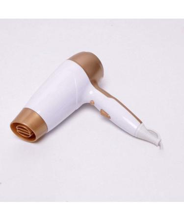 CLCulture Hair Dryer Negative Ionic Fast Dry Low Noise Hair Dryer - Buy Online on GoSupps.com