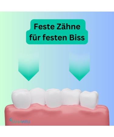 Shop Premium Denture Adhesive Cream & Cushions | Dental Aids for Perfect Fit - International Shipping Available - Buy Online on GoSupps.com