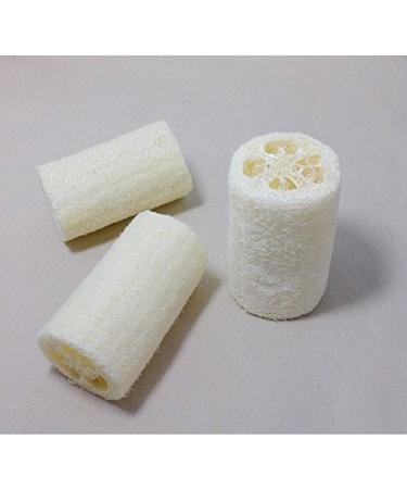 5x Demarkt Natural Loofah Luffa Cucumber Sponge - 10cm Natural Fiber Bath Sponge for Exfoliation | International Shipping Available - Buy Online on GoSupps.com
