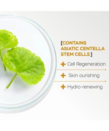 BEAUTYBOOST | Anti-Photo-Aging Day Facial Serum & Hydro-Renewing Night Facial Serum with Stem Cells Hyaluronic Acid Collagen Moisturizing Face Oil | 30ml+30ml - Buy Online on GoSupps.com