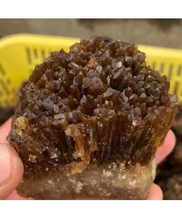 Crystal Natural Yellow Amber Calcite Rough Crystal Stone Collection Rough Rock Specimen Home Decor (Size : 60-100g) - Buy Online on GoSupps.com