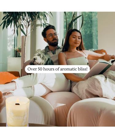 Large Peach Mango Tropical Citrus Candle - Natural Soy Aromatherapy Jar - Long Lasting 10.6 oz Fresh Summer Scent for Home - Perfect Gift for Men & Women - Buy Online on GoSupps.com