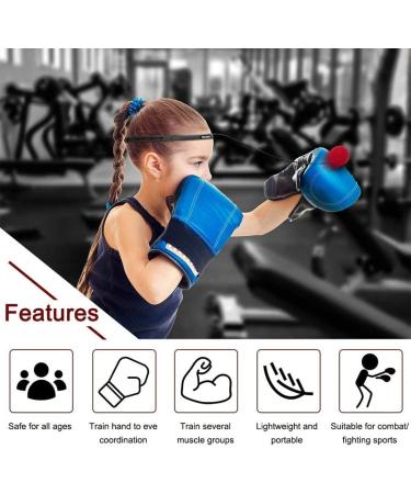 HUICHAI Kvittra Double End Punching Bag - Boxing & MMA Training Kit with Reflex Ball, Headband, and Pump - Buy Online on GoSupps.com
