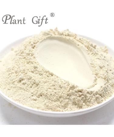 Plant Gift 100% Pure Garlic Powder 100G/3.25oz Non-GMO No Filler No additives Natural Garlic Flour Best Flavor for Baking Adds Flavor and Taste 2UK-PO0053 - Buy Online on GoSupps.com