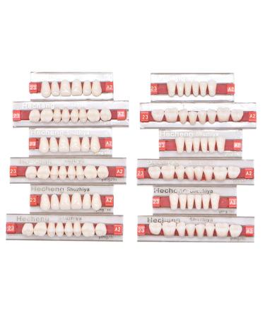 84 Pcs Dental Synthetic Resin False Teeth Set for Halloween Horror A2 - Denture Kit - Buy Online on GoSupps.com