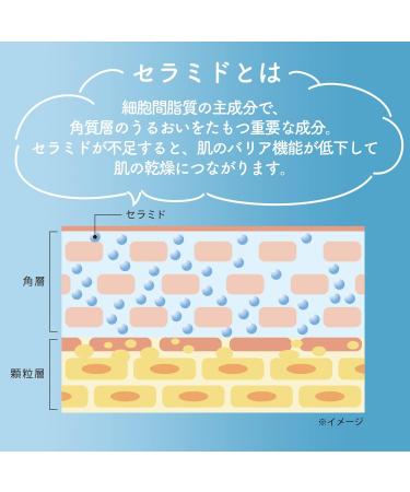 Corner Kose Softymo Face Wash Form 130ml Refill - Buy Online on GoSupps.com