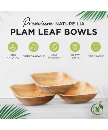 Naturelia 4-Inch Square Palm Leaf Disposable Bowls- Faux Wood Style Dinnerware Soup and Salad Bowl Set - 25-Pack Bundle - Microwave Oven and Freezer Safe 25 4 inch - Buy Online on GoSupps.com