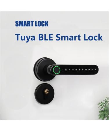 Smart Mini Handler Fingerprint Lock Intelligent Security Door Lock Encryption Smart Life App Passward Unclock (Color : Single Latch) (Single Latch) - Buy Online on GoSupps.com