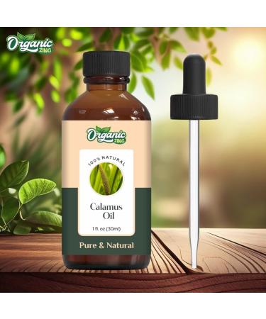 Calamus Oil (Acorus Calamus) - Pure Essential Oil for Skincare Hair Care & Aromatherapy - 30ml - Buy Online on GoSupps.com