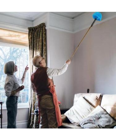 Tvnakdfq Screw on Indoor Polys Fibers Cobweb Duster Extendable Hand Anti Dusting Brush Home Air-Condition Car Furniture Cleaning - Buy Online on GoSupps.com