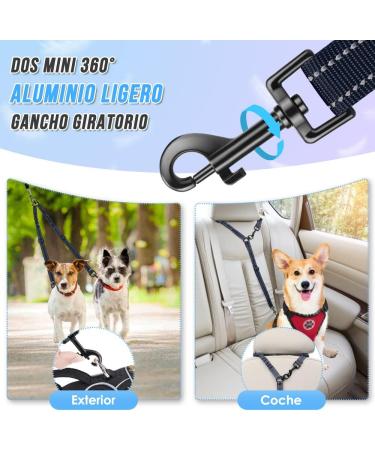 Slowton Adjustable Double Dog Leash for 2 Dogs 360 Rotatable Reflective No Splinters Perfect for Small Dogs (3-9 kg) Blue - Buy Online on GoSupps.com