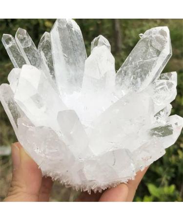 Natural White Crystal Cluster Quartz Crystal Collection Full of Texture (Size : 450-500g) - Buy Online on GoSupps.com