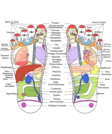 SHOP-STORY Reflexomat: Foot Reflexology Mat for Body Relief & Immune Support - International Shipping Available - Buy Online on GoSupps.com