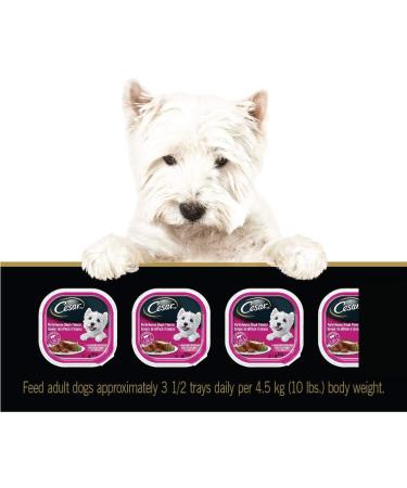 CESAR Adult Wet Dog Food Classic Loaf in Sauce Entr es - Porterhouse Steak 100g Tray (24 Pack) Porterhouse 100 g (Pack of 24) - Buy Online on GoSupps.com