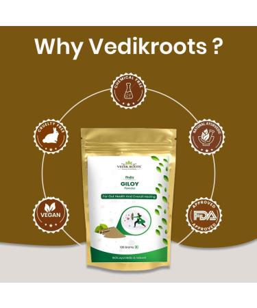 Giloy Powder - 100% Pure Extract - Strengthens Immunity and Fights Illnesses 100Gm (Pack of 3) 3.51 Ounce (Pack of 3) - Buy Online on GoSupps.com