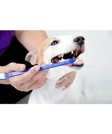 Pack of 4 Double Ended Dog & Cat Dental Oral Care Toothbrush Healthy Pet Grooming Tool Teeth Brush for Dogs Tooth Cleaner Care for Small to Large Dogs Cats - Buy Online on GoSupps.com