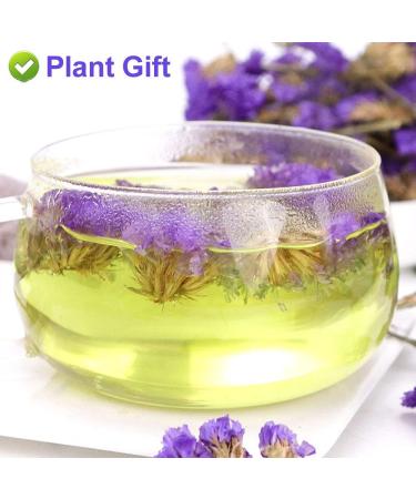 PlantGift Don't Forget Me Flower/Forget-me-not Flower Tea 30G/1oz Dried Myosotis Sylvatica Flower Potpourris Flowers DIY Candle Making Wedding Decoration - Buy Online on GoSupps.com