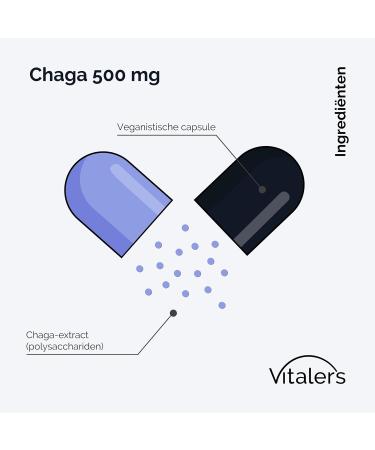 NMM Sp z oo Vitalers Chaga 500 mg 60 capsules vegan 2 months supplementation no preservatives pure composition - Buy Online on GoSupps.com