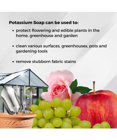 Potassium Soap Concentrate 34 fl oz - Premium Eco-Friendly Cleaning for All Surfaces | International Shipping Available - Buy Online on GoSupps.com