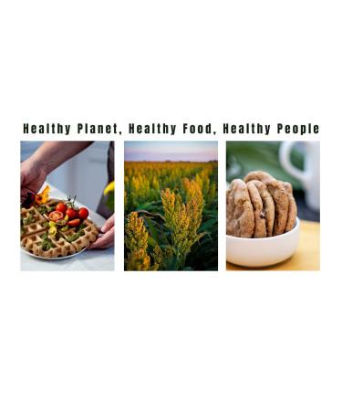 Snacktivist Foods Artisan Multigrain Bread Mix - Gluten-Free, Non-GMO, No Knead, Easy 16 oz - Buy Online on GoSupps.com