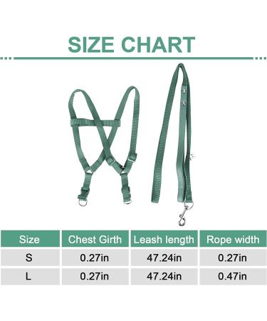 Camidy Adjustable Bird Harness and Leash Kit Macaw Cockatoos Bird Leash for Parrots Outside Training Walk for Large Bird Parrots Green L - Buy Online on GoSupps.com