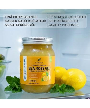 Sea Moss Gel Irlandais 100% Naturel Mousse de Mer Sauvage Vegan Texture Onctueuse 510g (Citron) - Buy Online on GoSupps.com