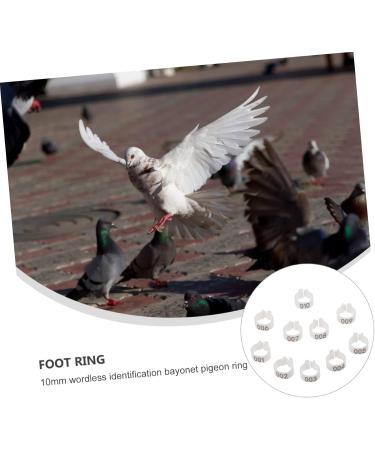 Levemolo 100 Pcs Pigeon Anklet African Grey Parrot Leg Ring Charms Plastic Poultry Pen Drumstick White 1.3X1.3CM White - Buy Online on GoSupps.com