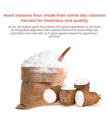 Iya's All Natural Cassava Flour - Grain-Free, Certified Gluten-Free, Non-GMO, Kosher Baking Flour - 100% Yuca Root All-Purpose Wheat Flour Substitute - 5 lb Pack - Buy Online on GoSupps.com